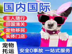 乌兰浩特机场货运国际宠物托运 【国